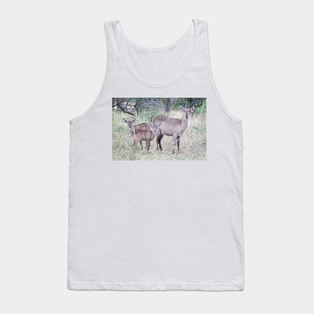 Waterbuck family Tank Top by Ludwig Wagner